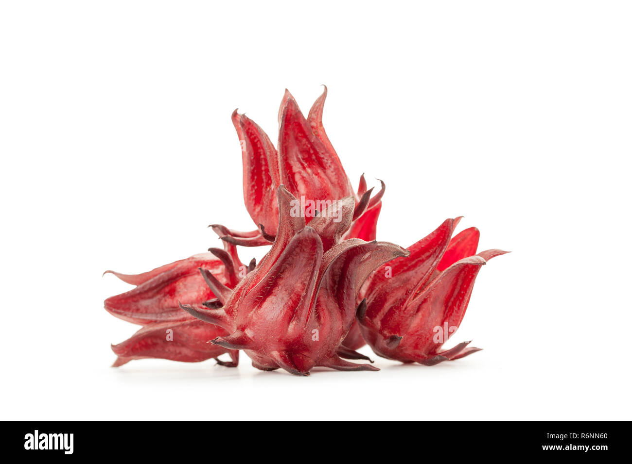 red roselle isolated Stock Photo