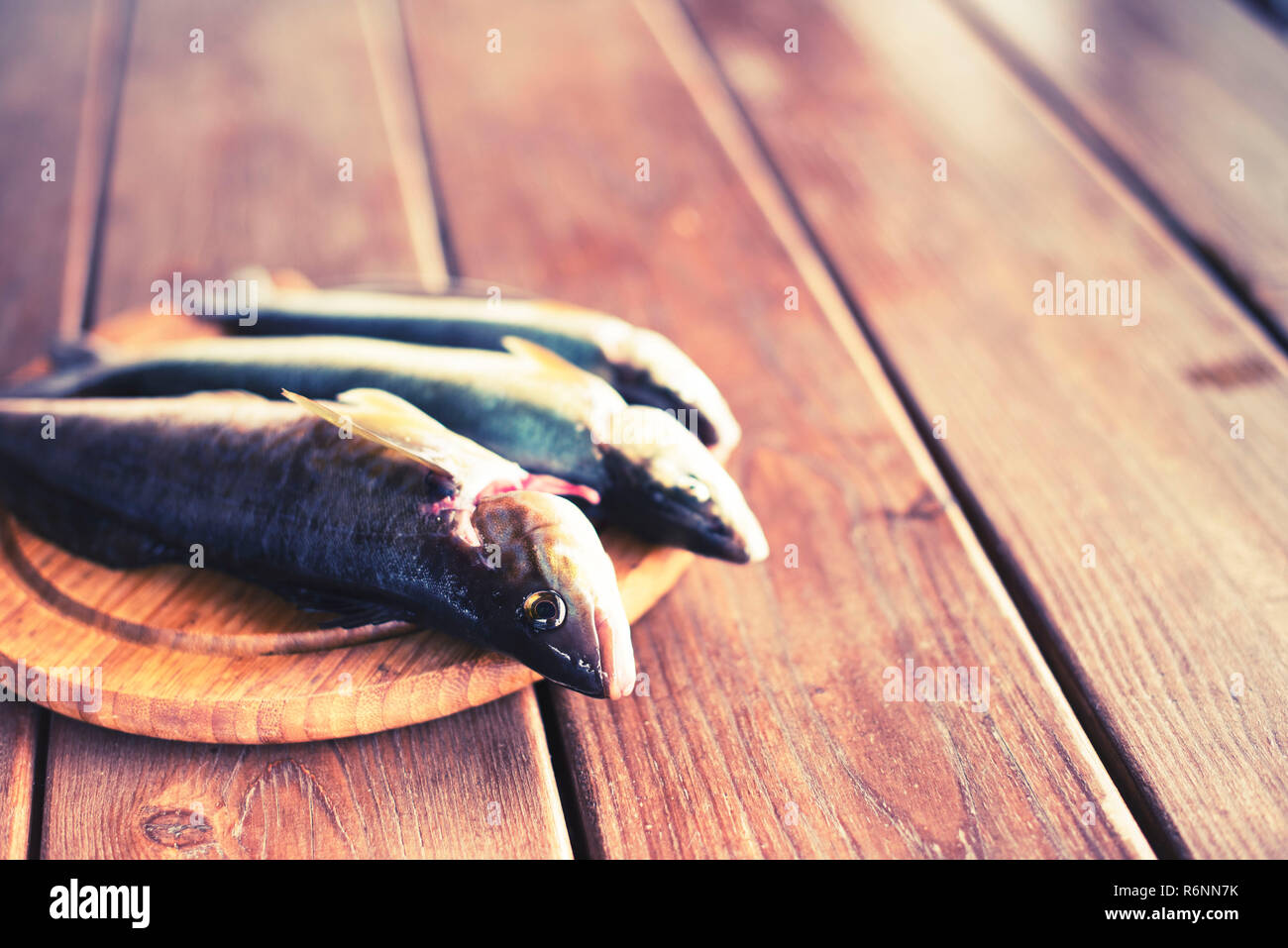 The catch of fresh sea fish lies on a cutting Board on a wooden table in the kitchen. Selective focus copy space Stock Photo