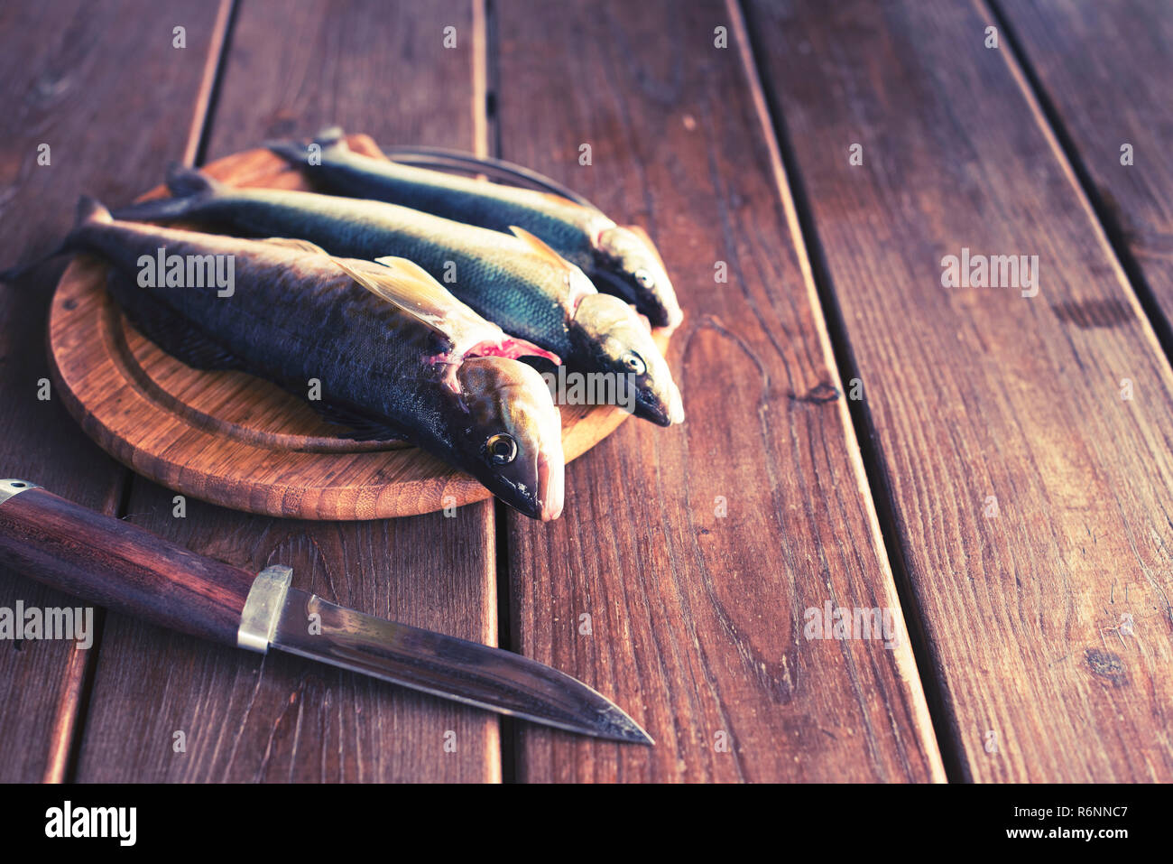 The catch of fresh sea fish lies on a cutting Board on a wooden table in the kitchen. Selective focus copy space Stock Photo