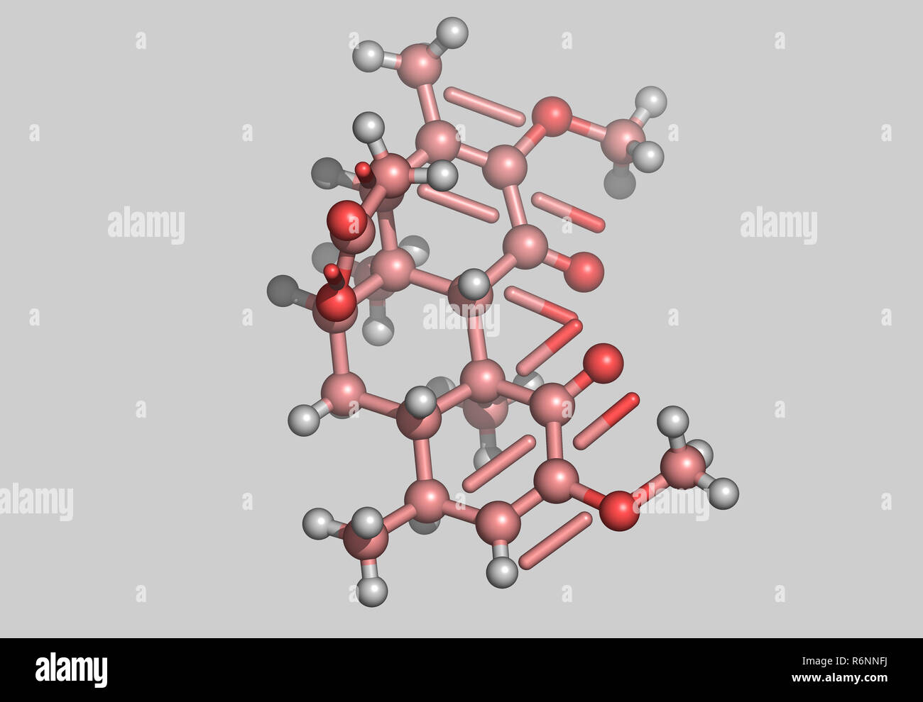 Quassin hi-res stock photography and images - Alamy