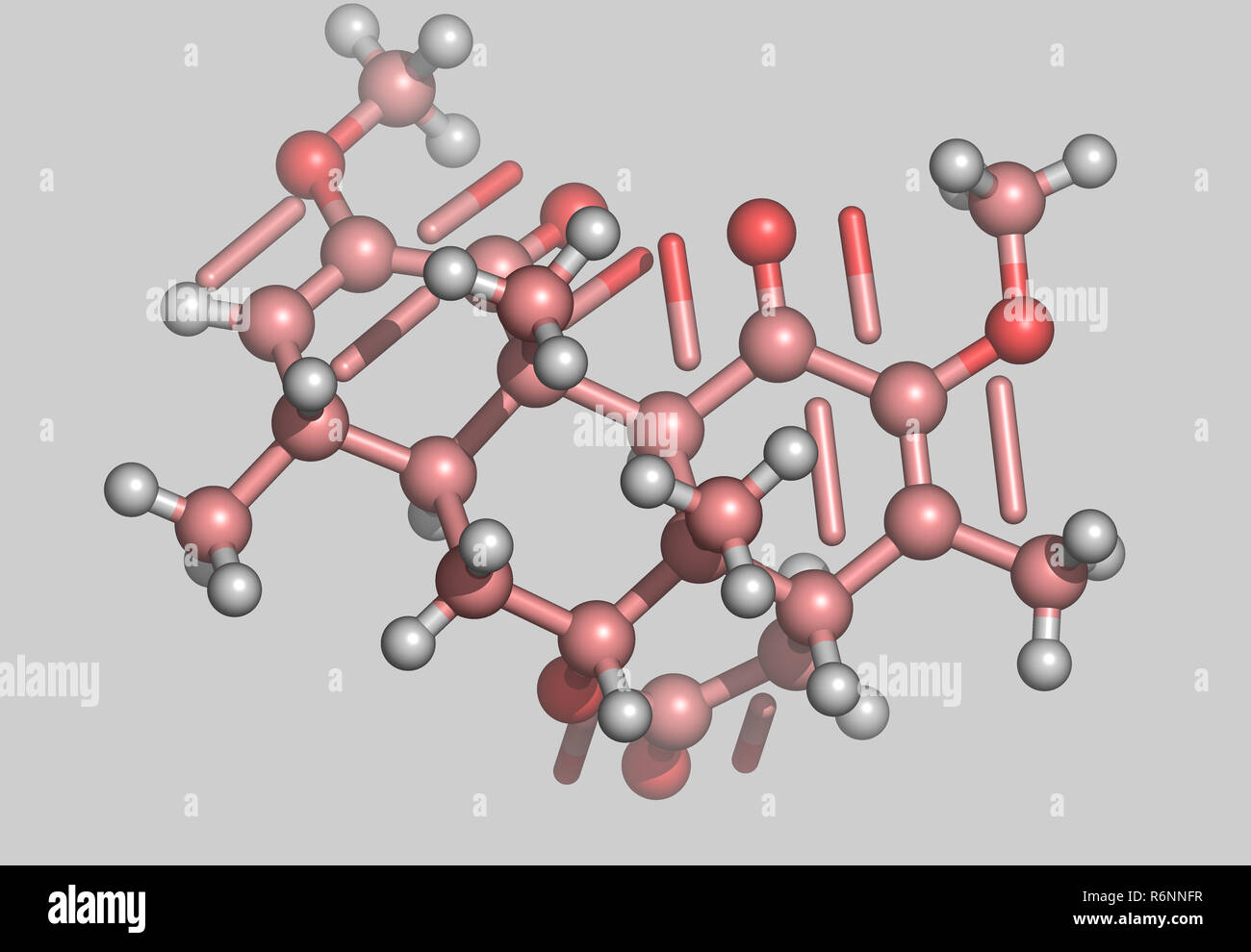 Quassin hi-res stock photography and images - Alamy
