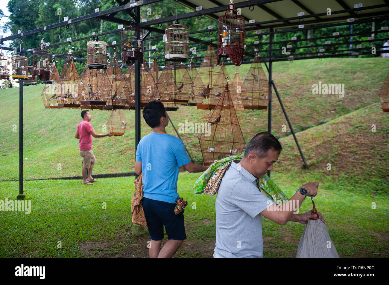 02.12.2018, Singapore, Republic of Singapore, Asia - Bird lovers are seen  hanging up their birdcages at the Kebun Baru Bird Corner in Ang Mo Kio  Stock Photo - Alamy