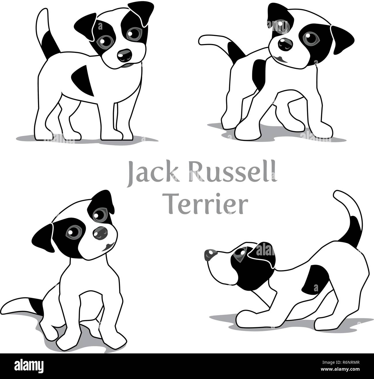 Parson jack russell terrier Stock Vector Images - Alamy