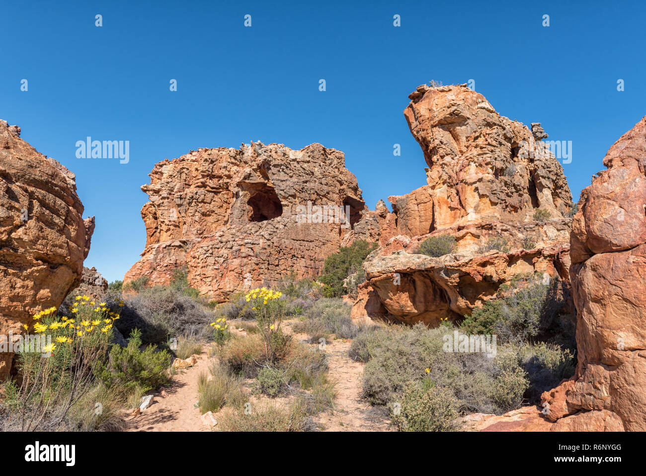 Rock formations and wild flowers at the Stadsaal Caves and Rock Art site in the Cederberg Mountains in the Western Cape Province of South Africa Stock Photo