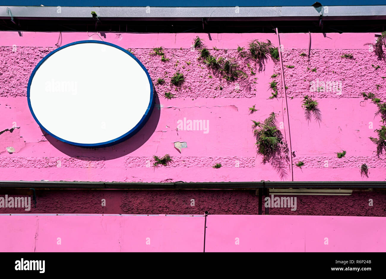 pink wall round empty sign Stock Photo - Alamy