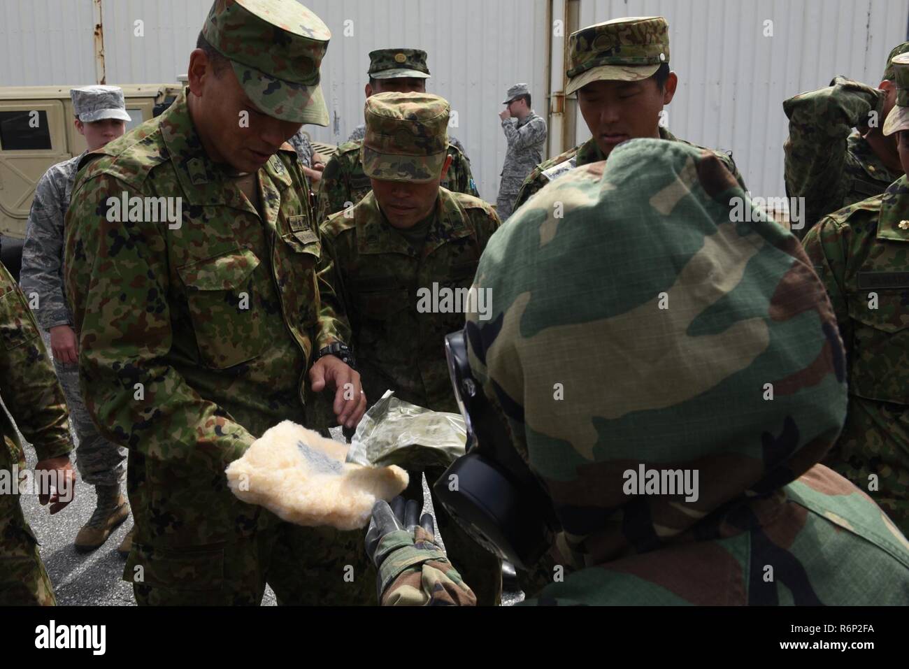 Members of the Japan Ground Self-defense Force interact with a glove