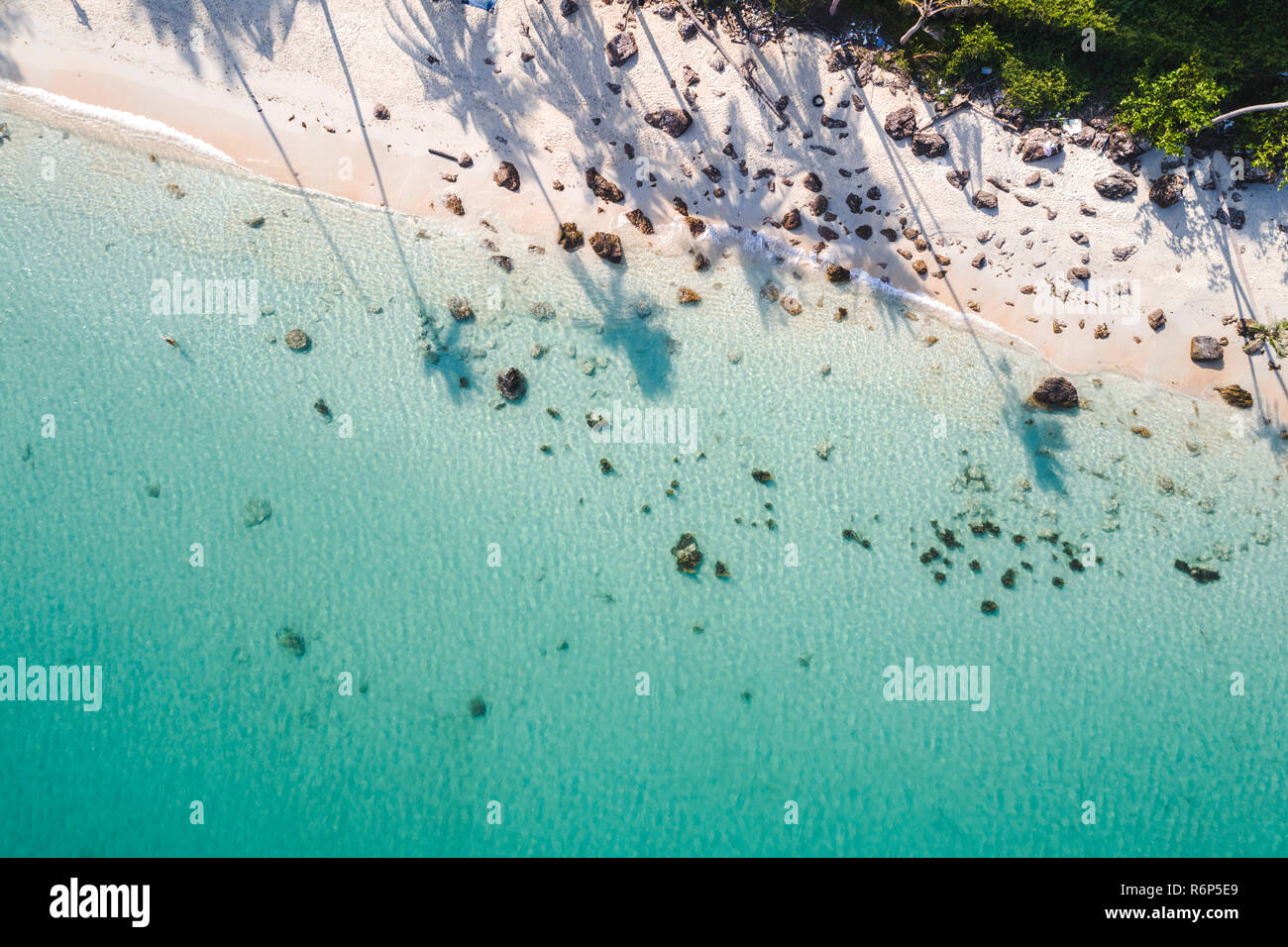 Palm tree drone footage hi-res stock photography and images - Alamy