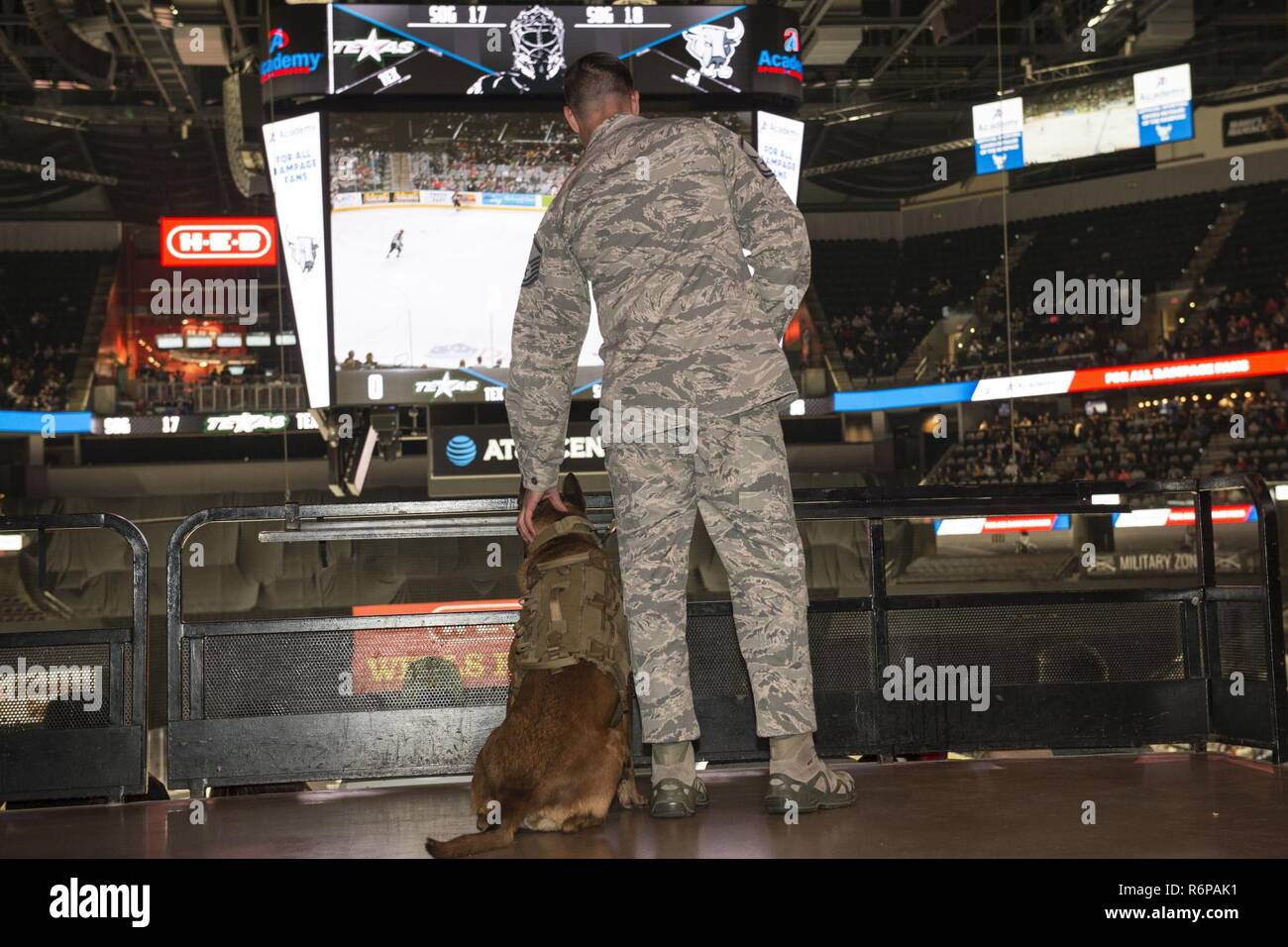 Master Sgt. Casey Ouellette, Department Of Defense Military Working Dog  School Flight Chief, And Mwd Sonja Take In The Sights And Sounds At The San  Antonio Rampage Pucks And Paws Game March