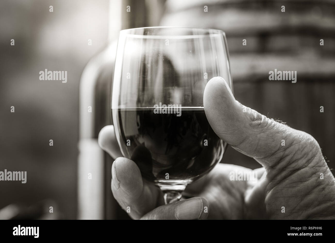 Wine tasting in the cellar Stock Photo - Alamy