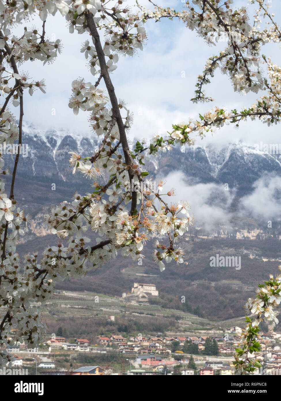 Italiann hi-res stock photography and images - Alamy