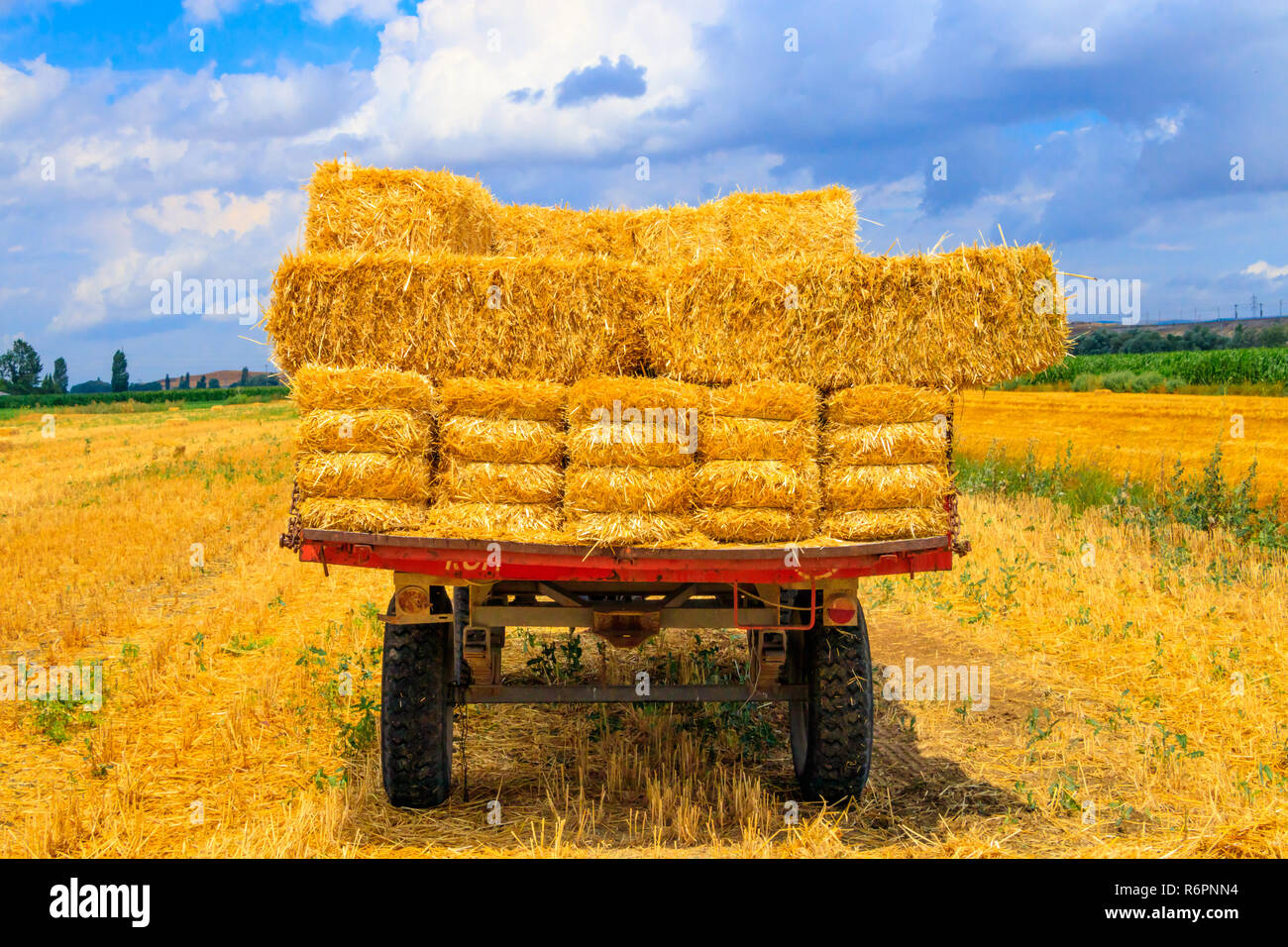 Hay wagon with hay bales on wheat field Stock Photo Alamy