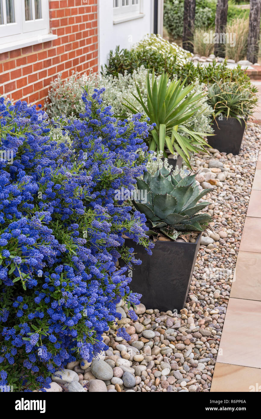 Landscaped coastal gravel garden with paving and brick exterior of Hampshire Mill house Stock Photo