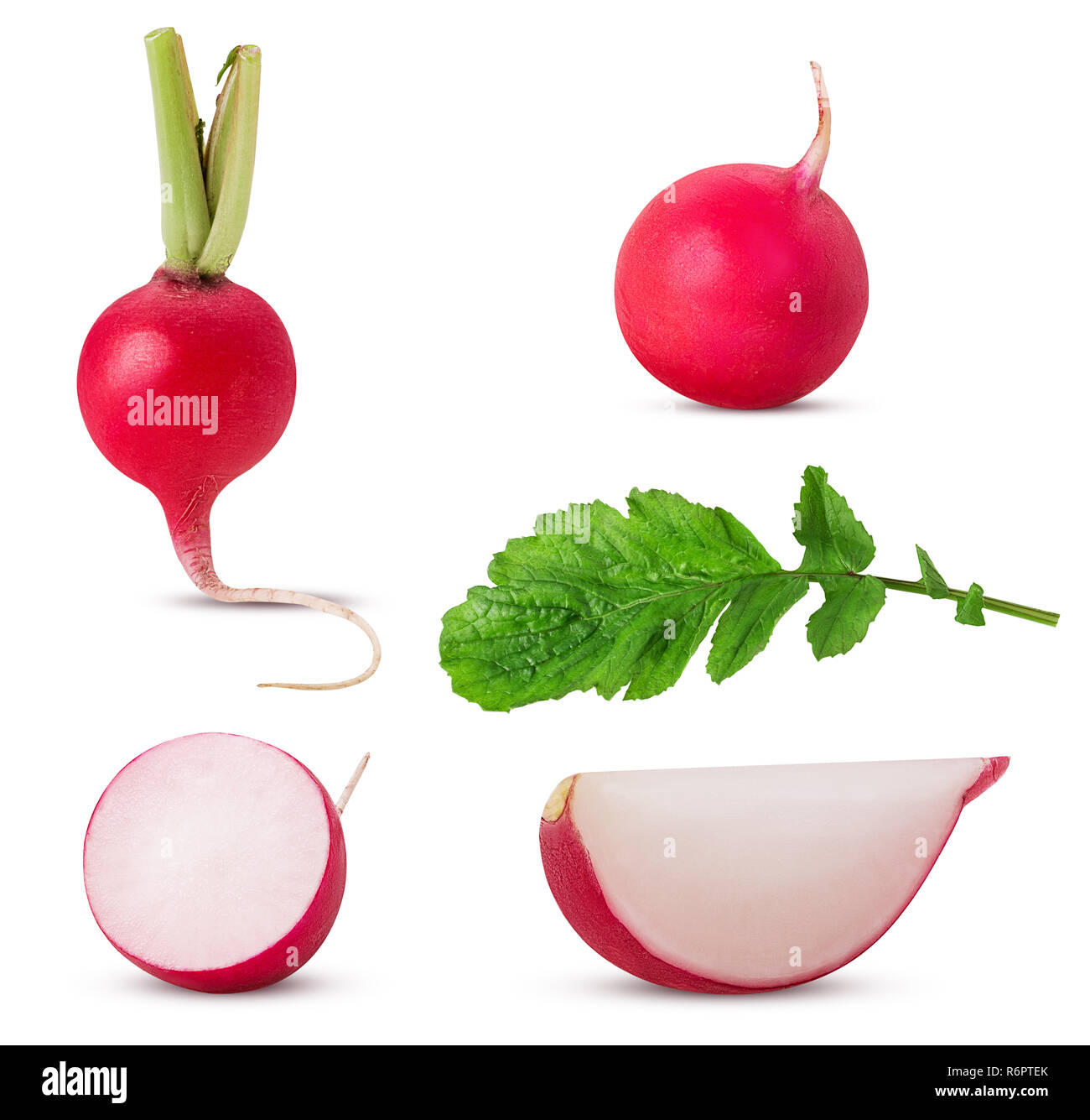 Set fresh red radish whole, cut in half, slice with leaf isolated on white background. Clipping