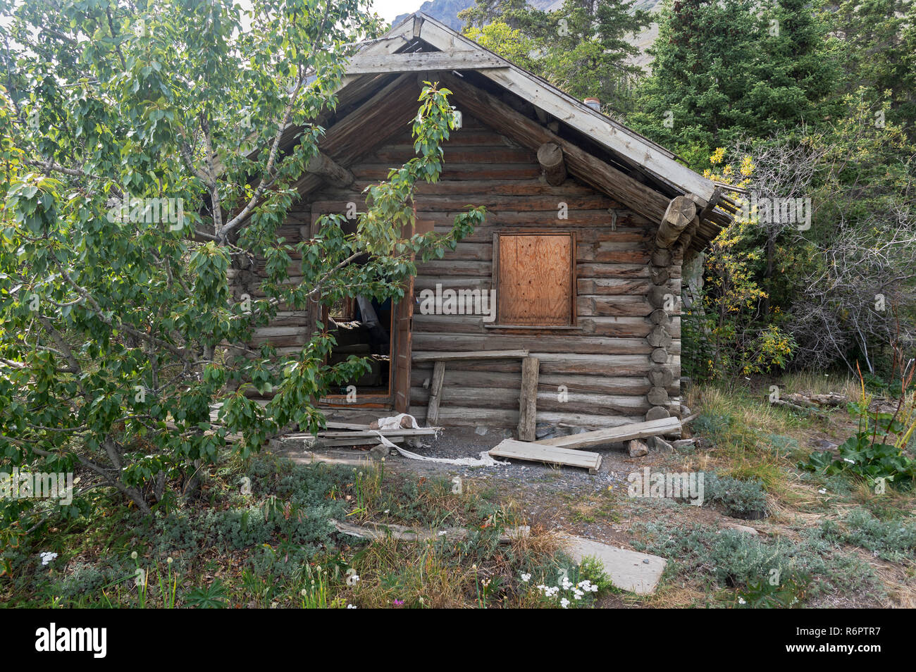 Abandoned log cabin in Kluane National Park, Yukon Territory, Canada