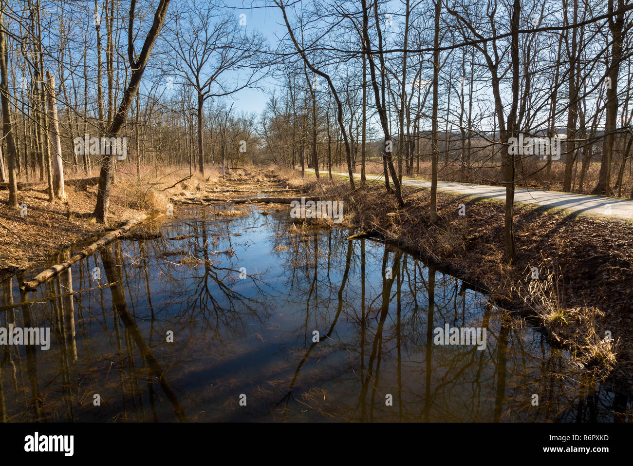 The Ohio and Erie Canal Towpath Trail paralleling a canal in the winter