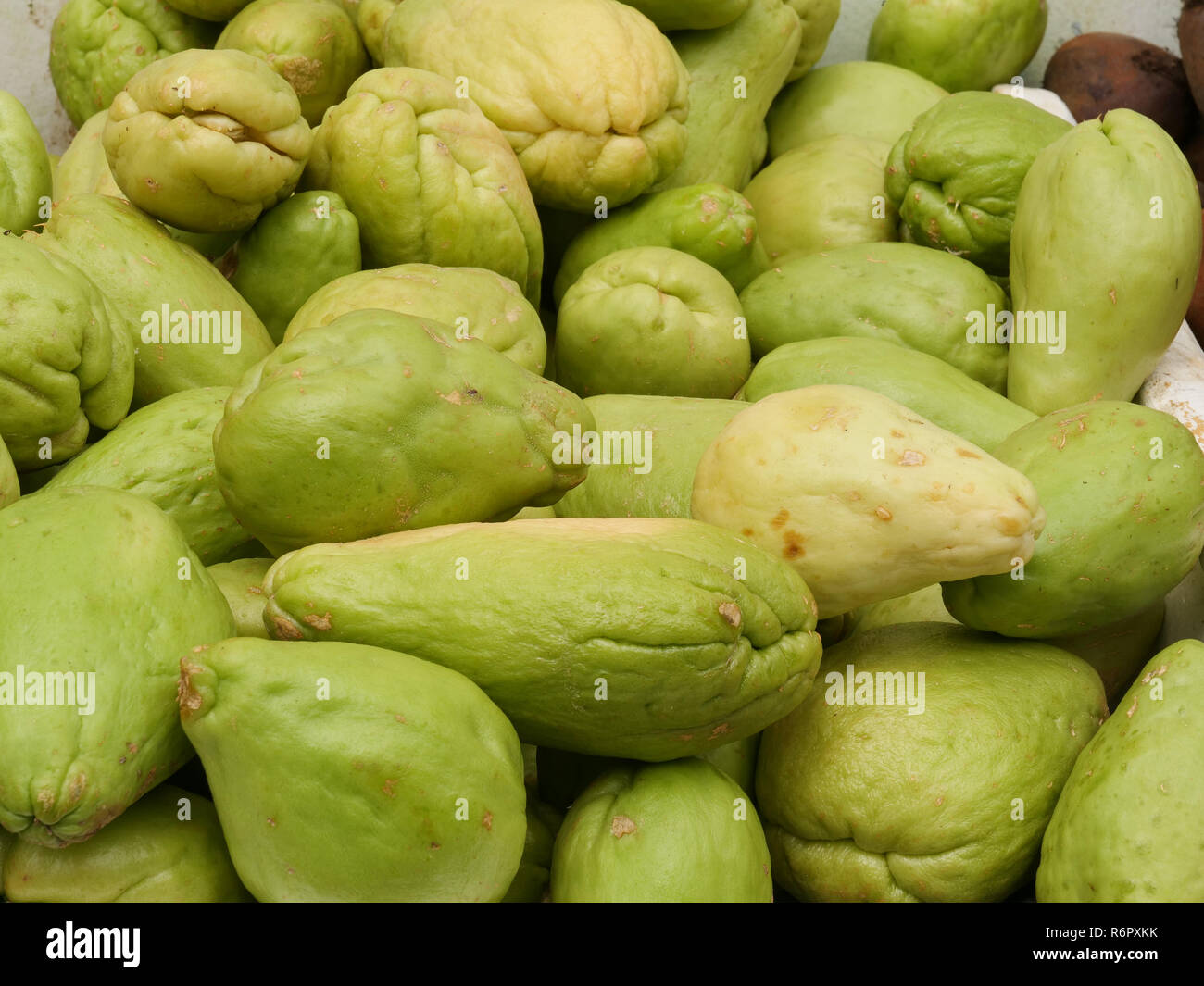 Original citrus fruit hires stock photography and images Alamy