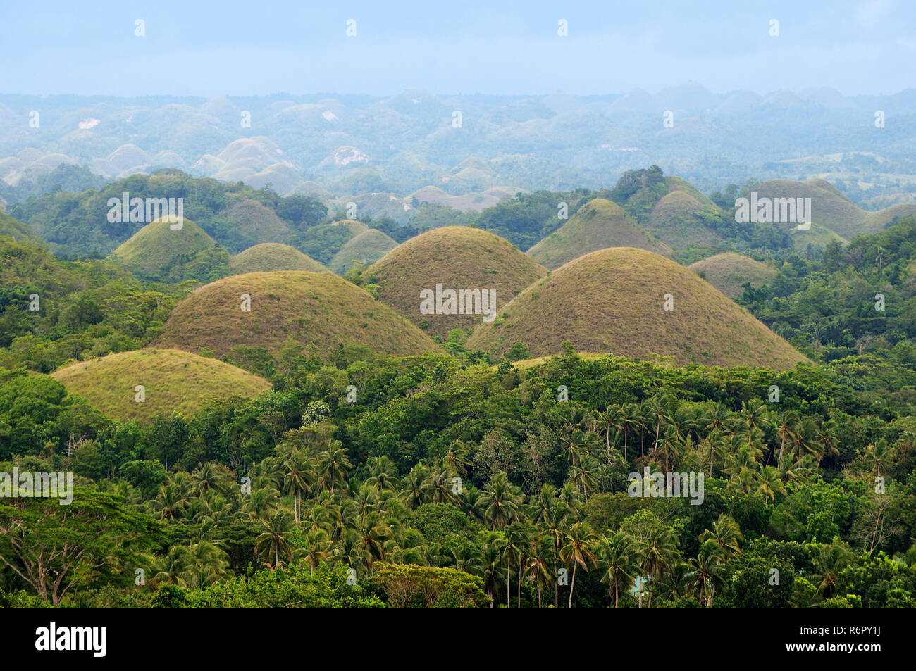 The Chocolate Hills in Carmen, island Bohol,  Philippines, Southeast Asia Stock Photo