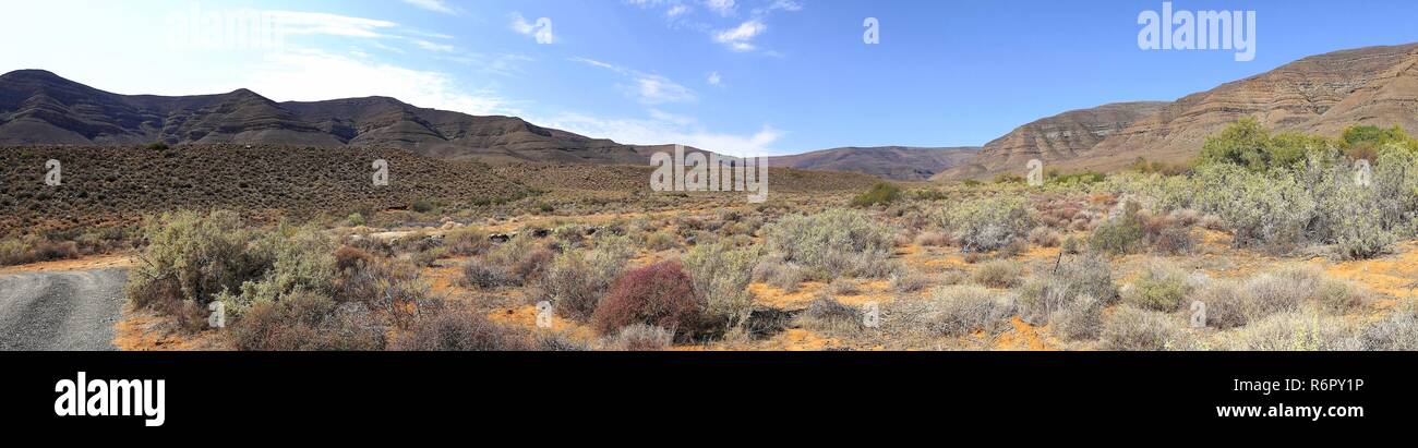 Halbwa ste hi-res stock photography and images - Alamy Halbwa ste hi-res stock photography and images - Alamy