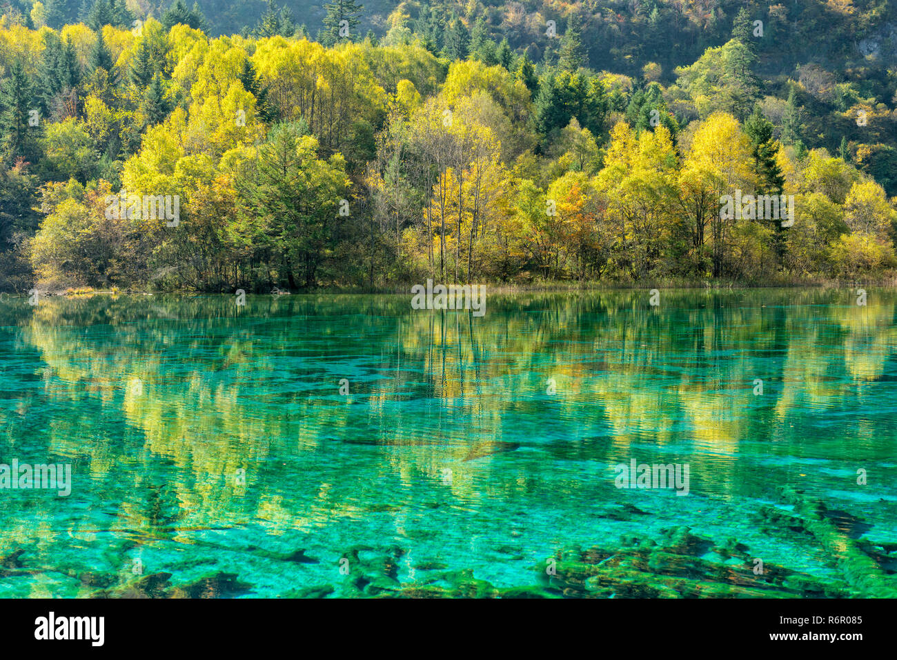 Colorful Lake Jiuzhaigou National Park Sichuan Province China