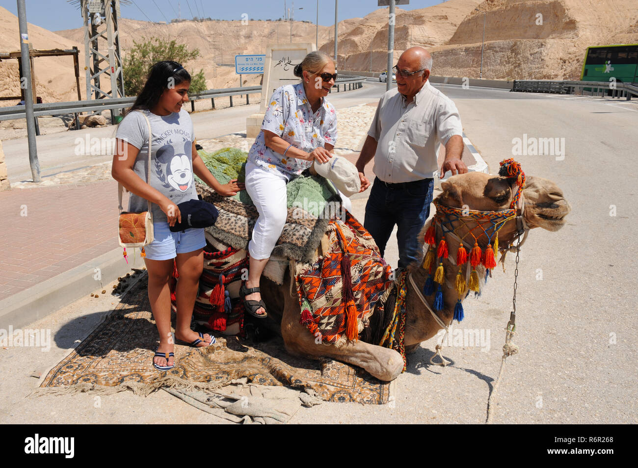 Female tourist being helped to mount a camel for entertainment ride on Israel Highway 90 at junction to Qaser El Yahud  in barren part of country, Stock Photo
