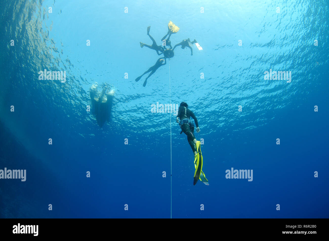 Freediving in Red Sea, Egypt Stock Photo