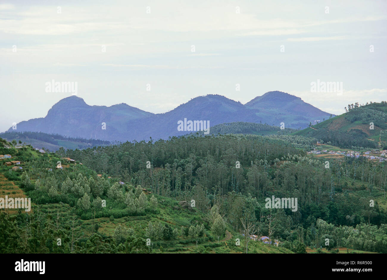 Sleeping beauty point, Coonoor, Ooty, Tamil nadu, India Stock Photo Alamy