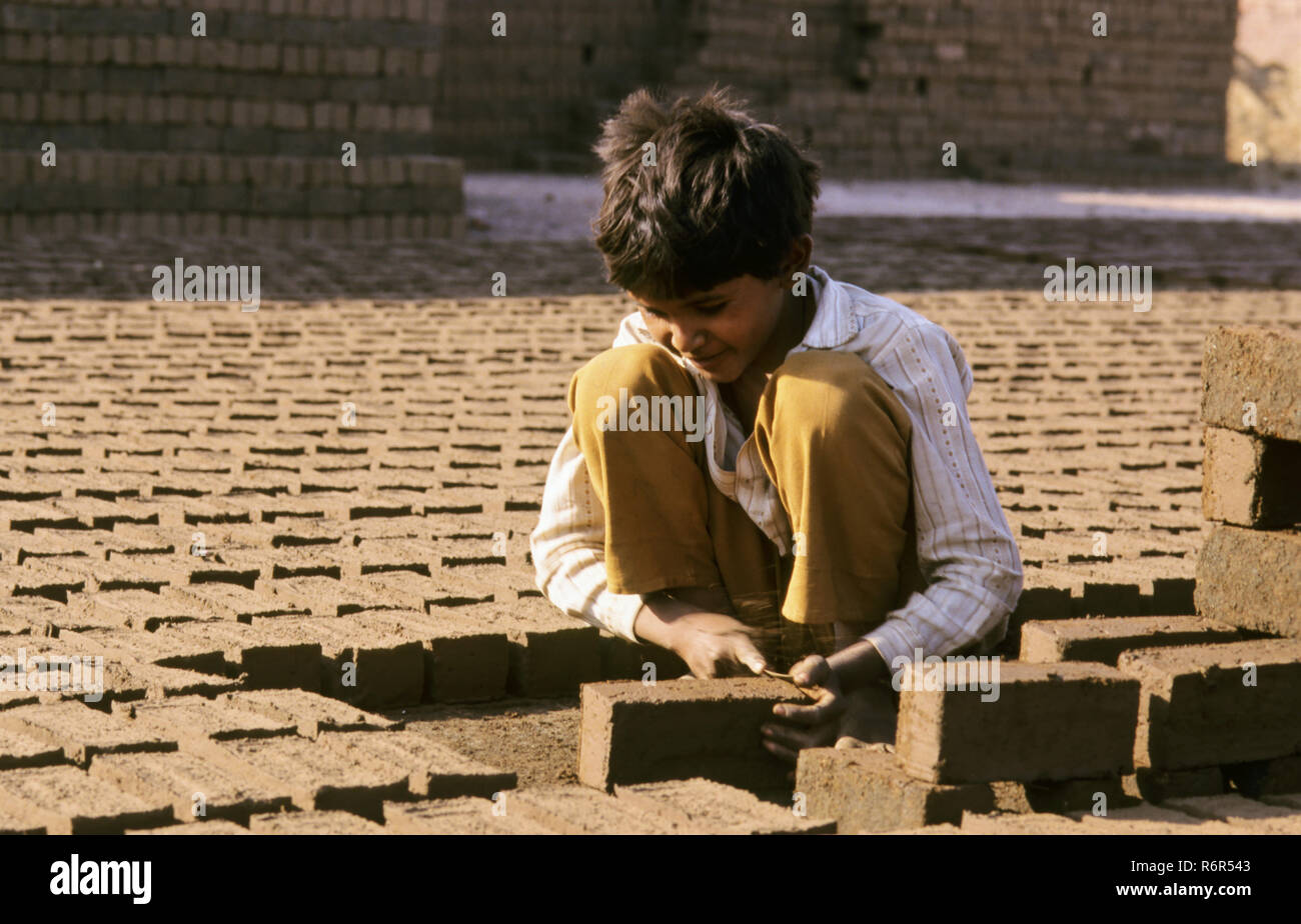 Boy arranging bricks, bricks making process, rajkot, gujarat, india Stock Photo