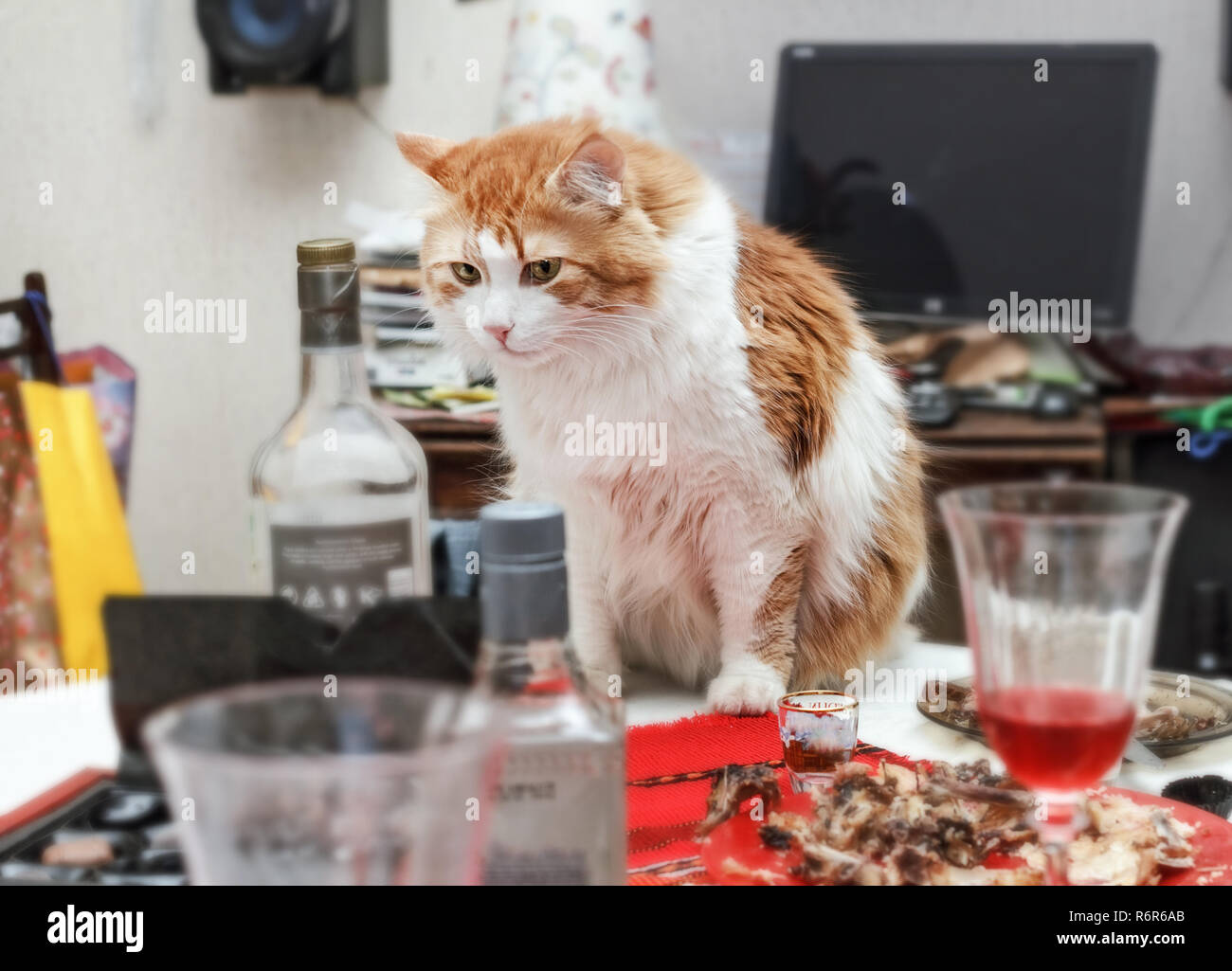 After party mess hires stock photography and images Alamy