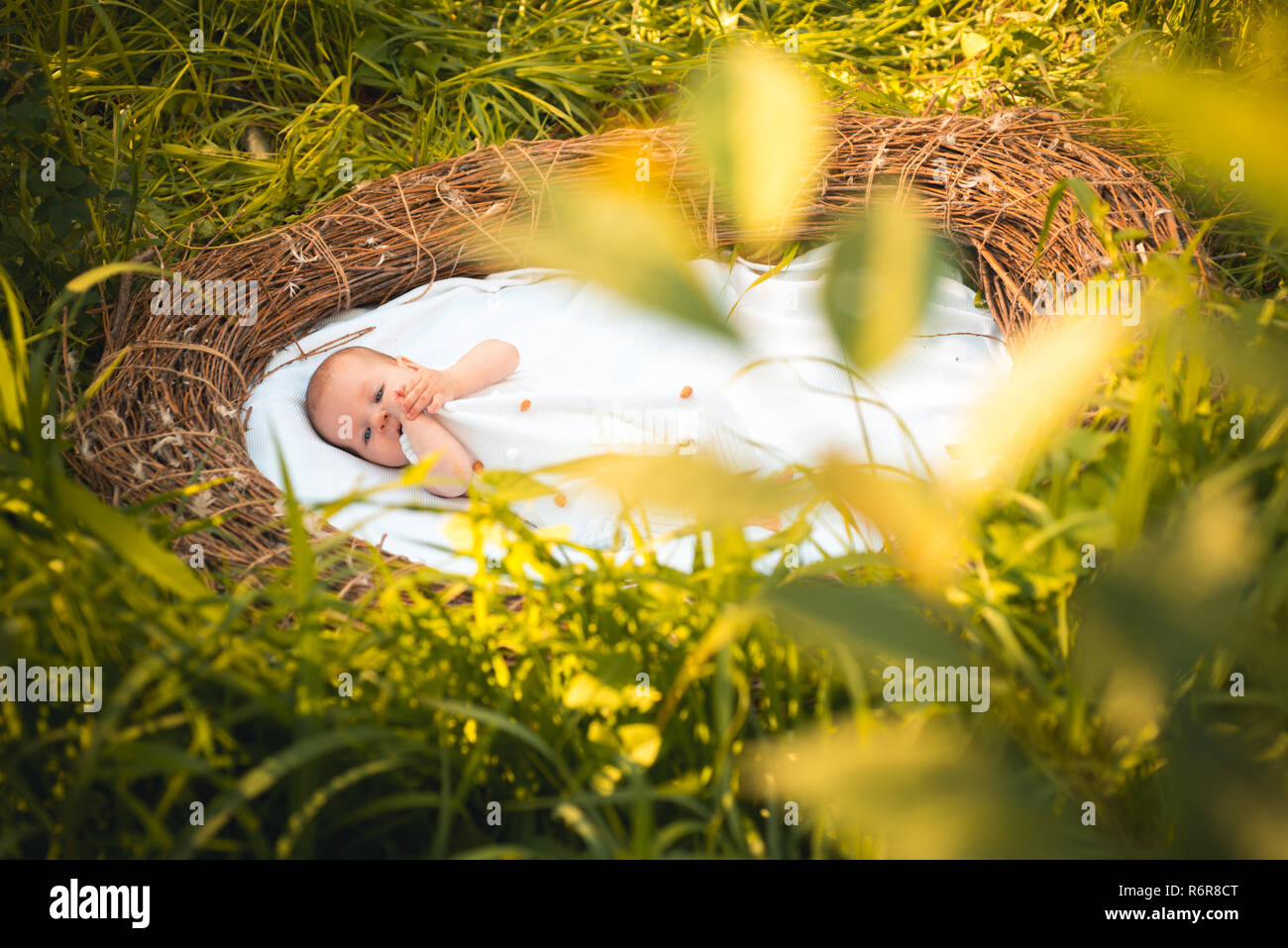 Rules of care. Newborn little baby on summer nature. Baby girl or boy