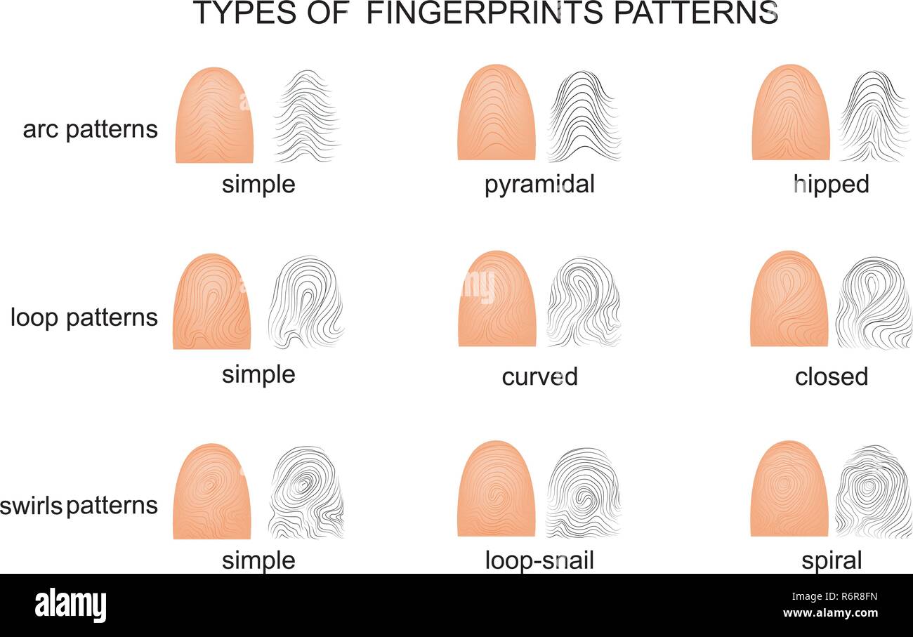 Personality types high resolution stock photography and images alamy