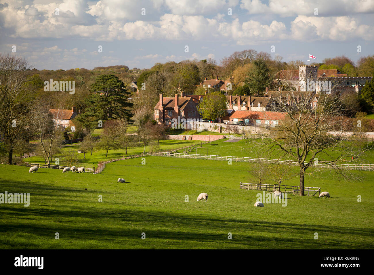 Sheep grazing in fields in front of the Chiltern village of Ewelme, Oxfordshire Stock Photo