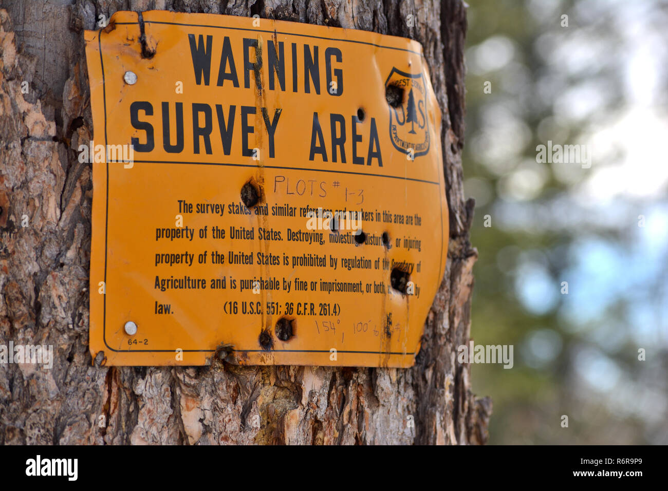 Bullet holes in US Forest Service sign above Basalt, Colorado is evidence of illegal shooting activity along public use trail. Stock Photo