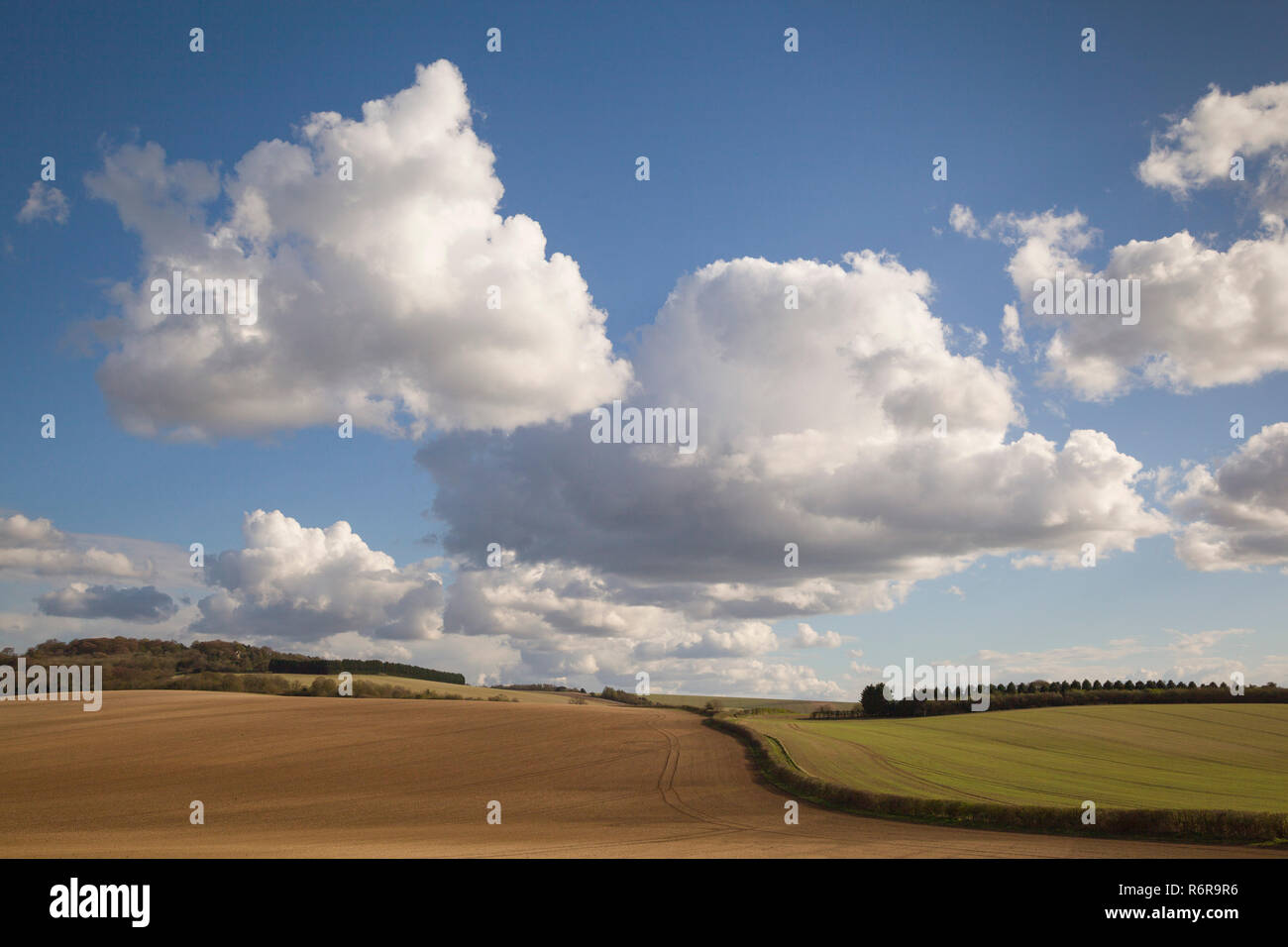 Cumulus clouds over the Ewelme Downs, Oxfordshire Stock Photo