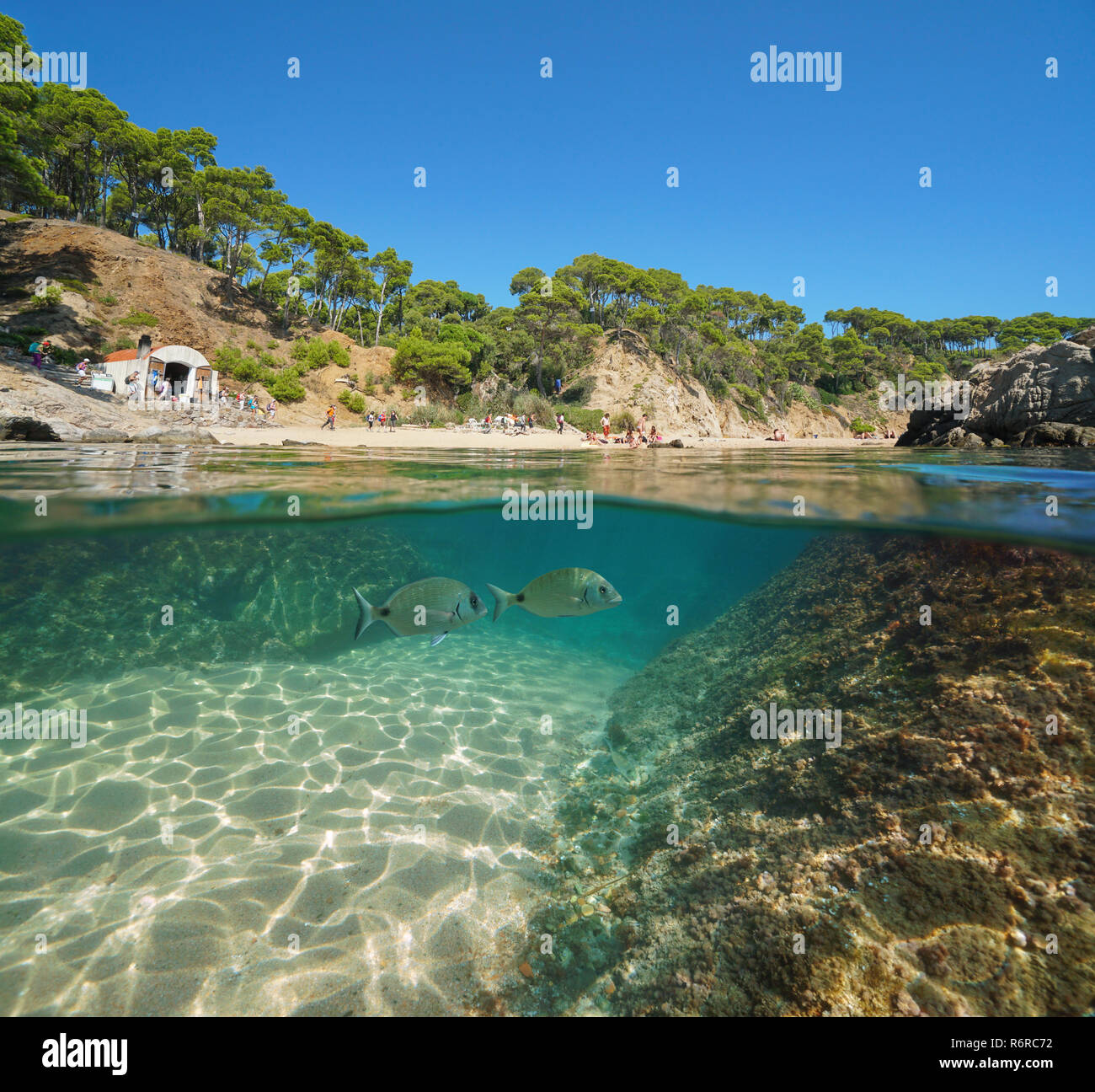 Spain Costa Brava Mediterranean beach with tourists in summer and fish underwater, split view half above and below water surface, Palamos Stock Photo