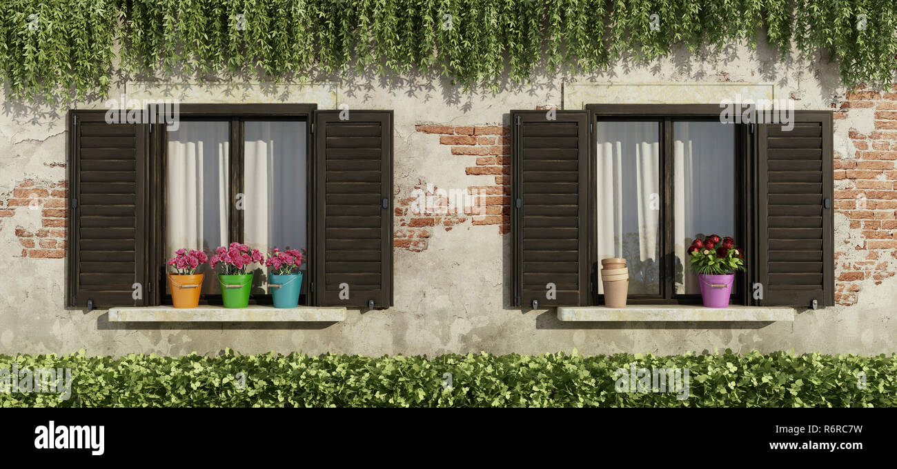 Old facade with windows and flowers Stock Photo