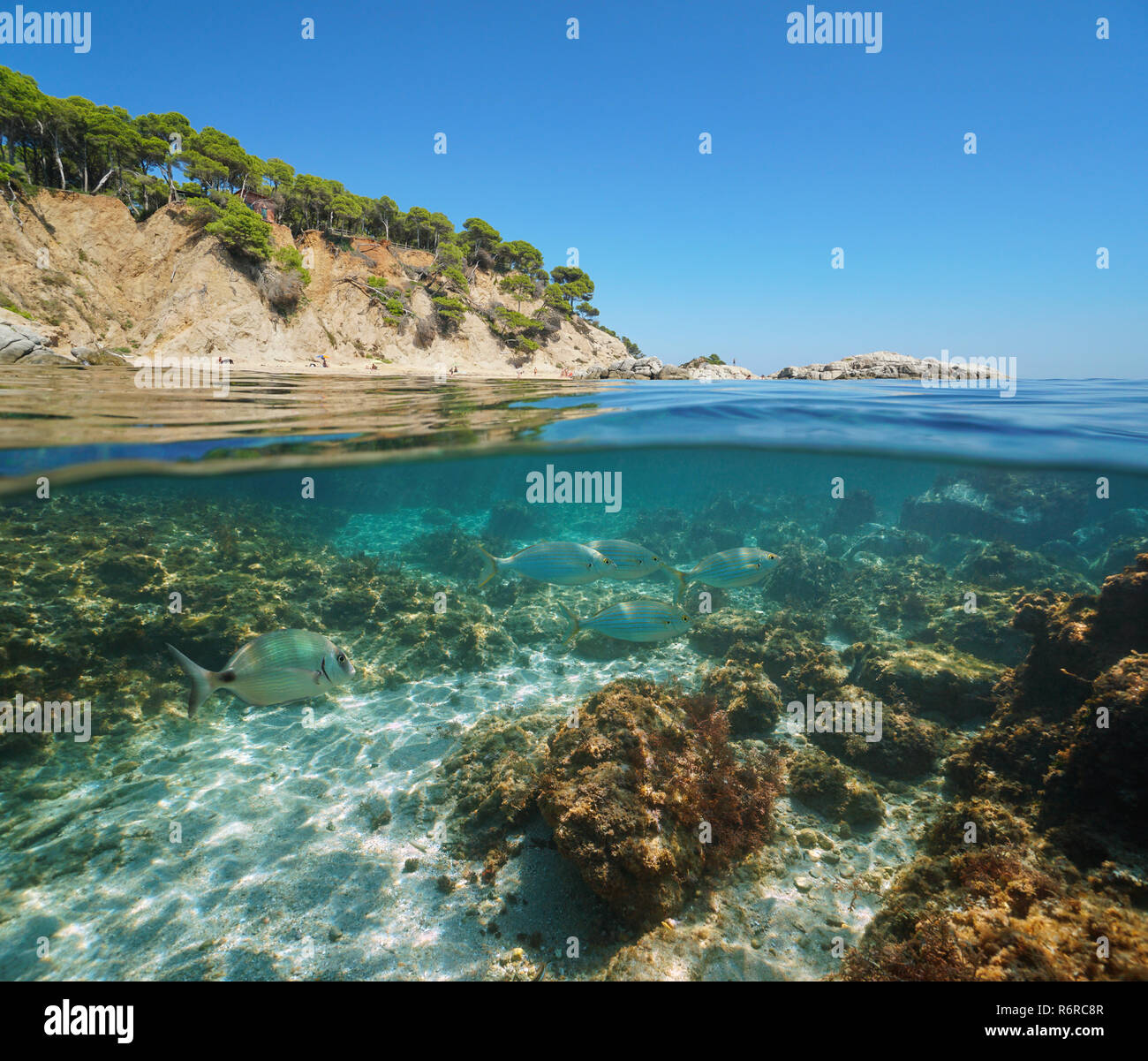 Spain Costa Brava coastline with fish underwater, split view half above and below water surface, Cala Bona, Mediterranean sea, Palamos Stock Photo