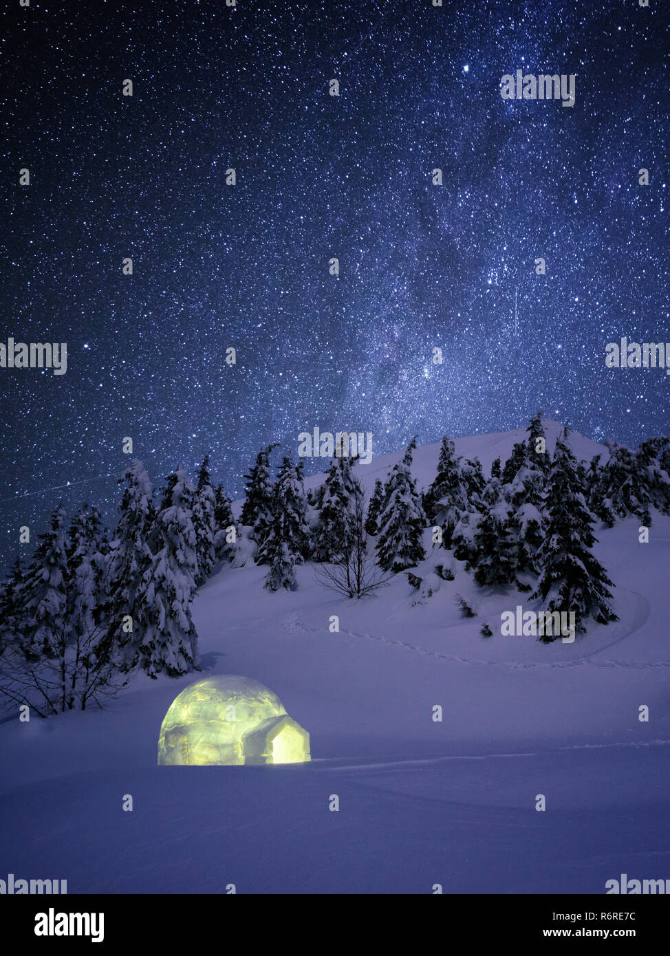 Trees Under Starry Sky High Resolution Stock Photography And Images Alamy