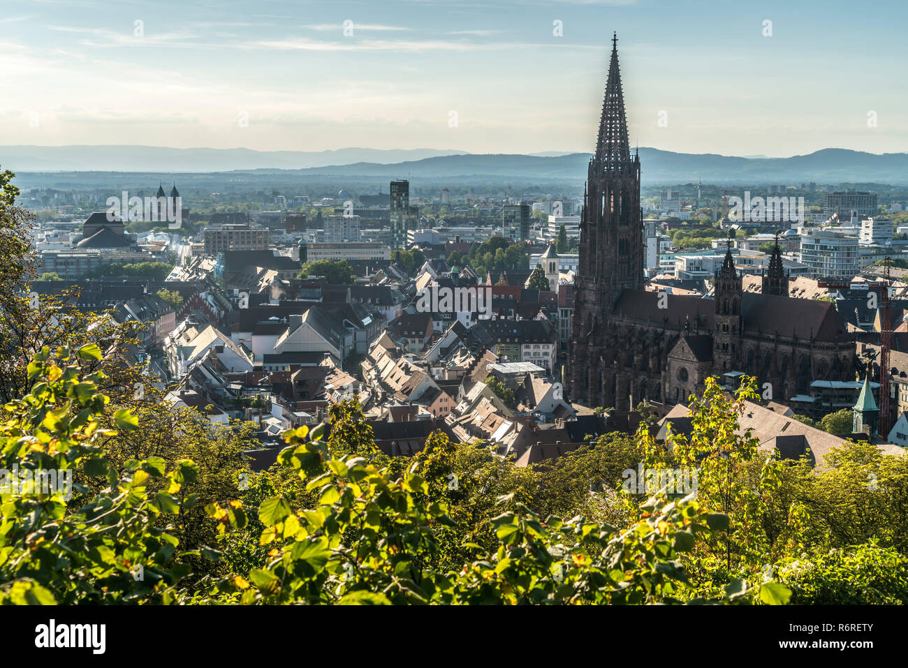 Stadtansicht und Freiburger Münster, Freiburg im Breisgau, Schwarzwald, Baden-Württemberg, Deutschland |  Cityscape with Freiburg Cathedral, Freiburg  Stock Photo