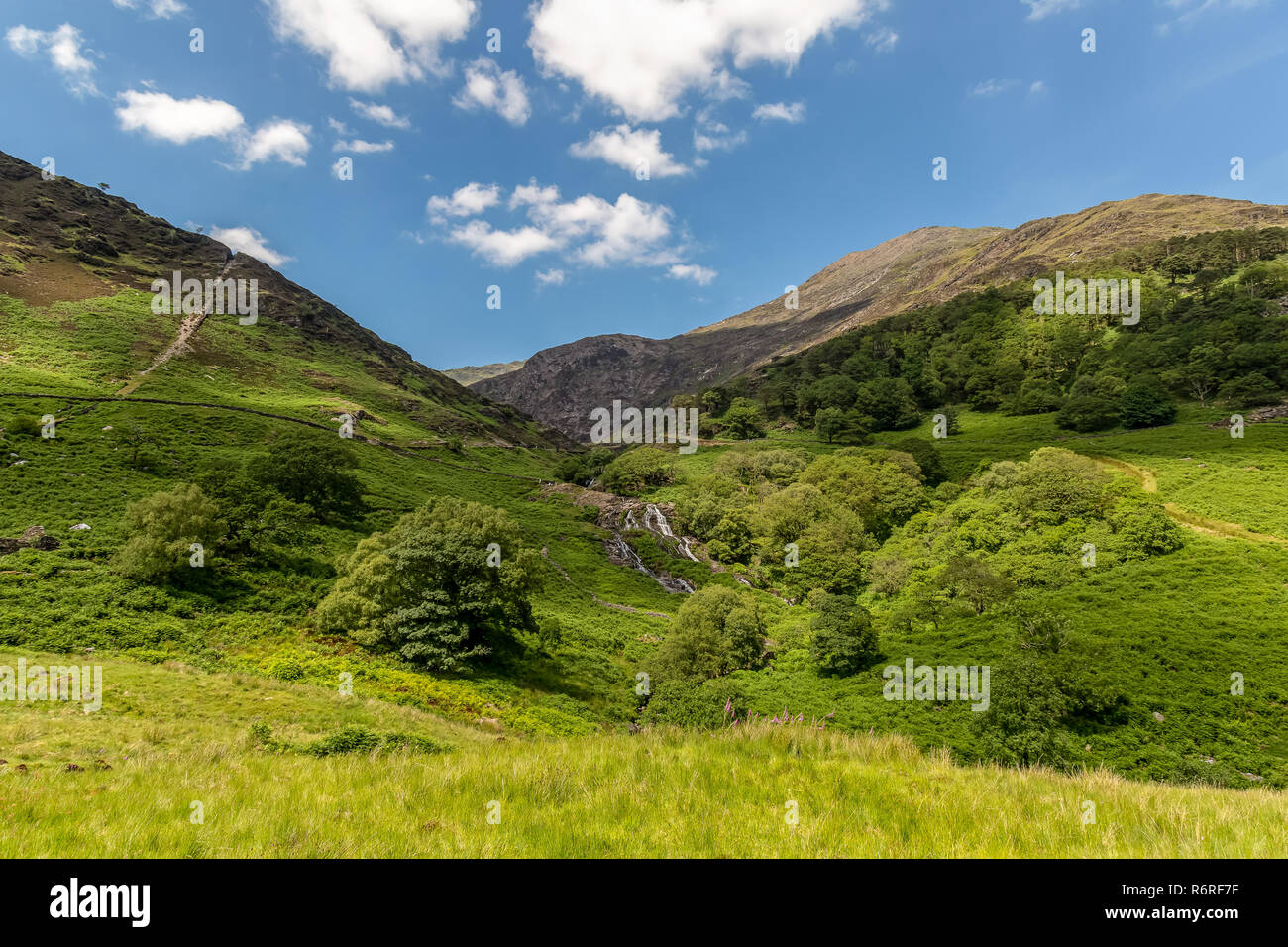 View looking up the Watkin Path, one of the footpaths eventually leading to the summit of Snowdon, the highest mountain in Wales. Stock Photo