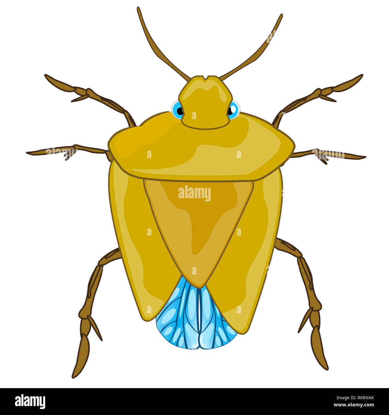 Bad insect bedbug Stock Photo - Alamy