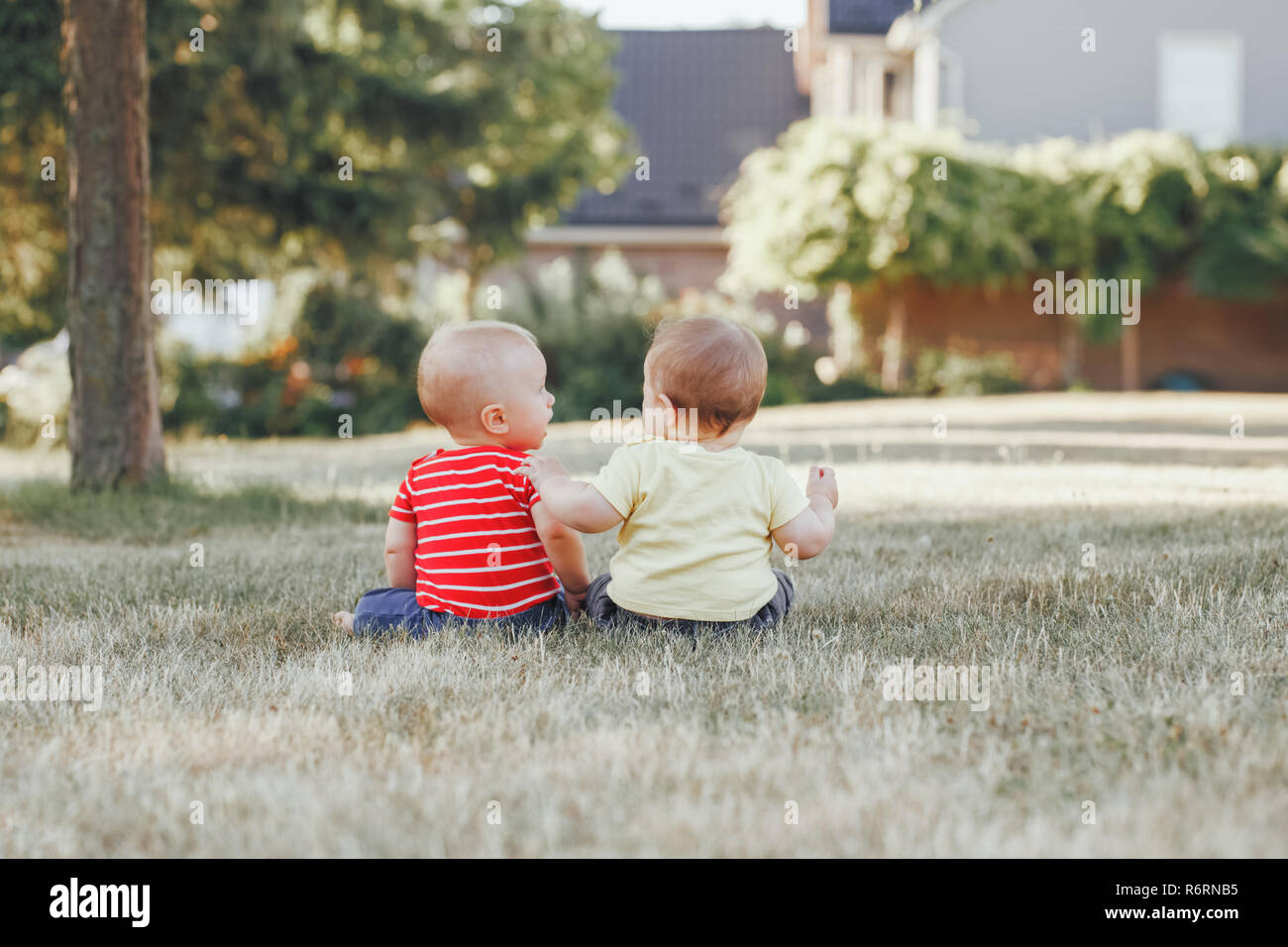 Two adorable little Caucasian babies sitting together in field meadow outside.View from back behind. Little happy children in summer park on sunset. T Stock Photo
