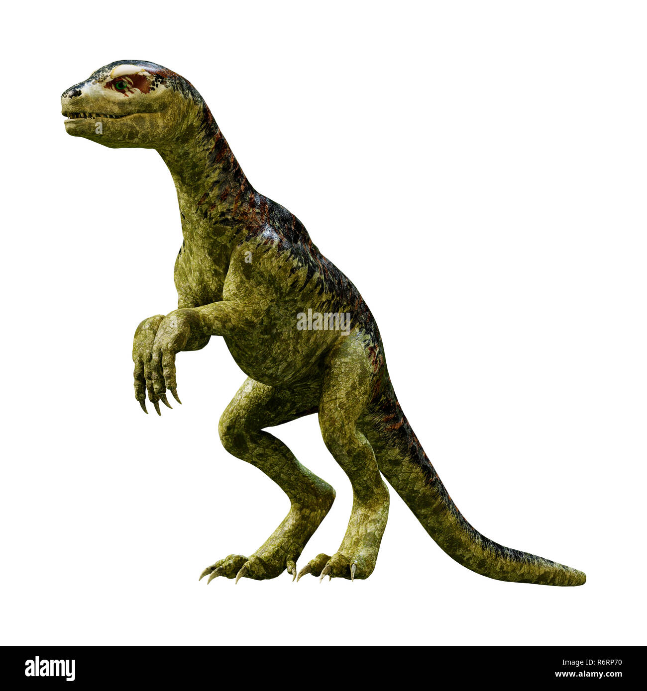 Dino Cut Out Stock Images & Pictures - Alamy