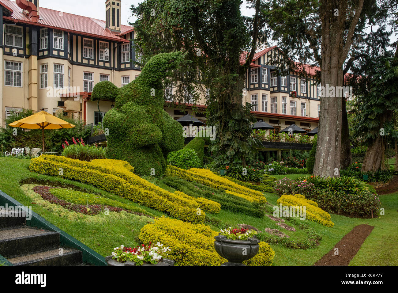 Garden at Grand Hotel, Nuwara Eliya, Sri Lanka Stock Photo