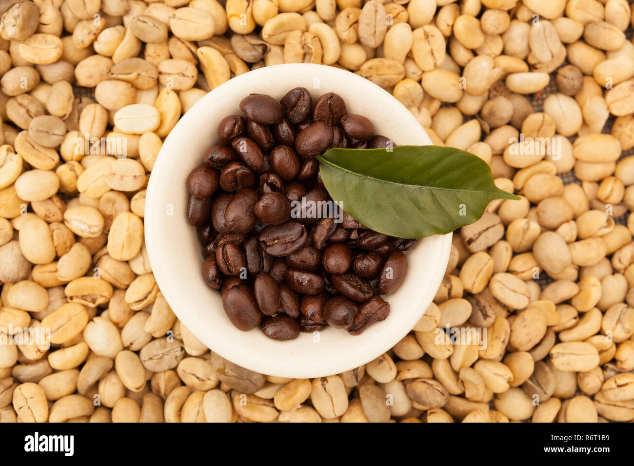 Unroasted Coffee Beans >> Roasted And Unroasted Coffee Beans Stock Photo 227950669 Alamy Unroasted Coffee Beans >> Roasted And Unroasted Coffee Beans Stock Photo 227950669 Alamy
