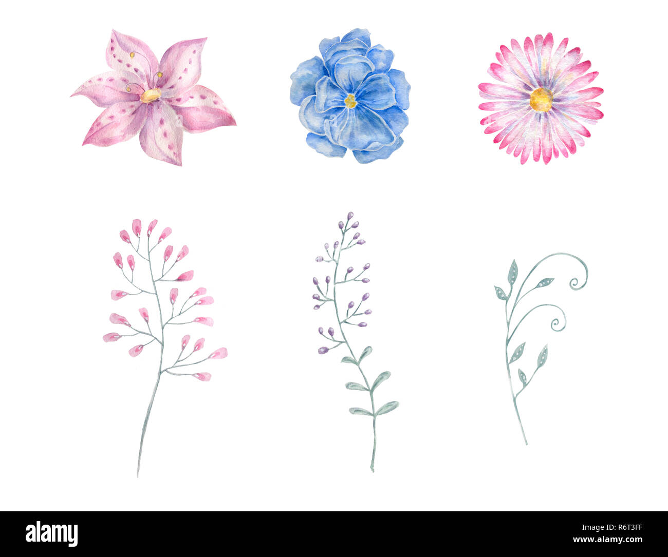 Blue Flower Watercolor Drawing Illustration Geometric Illustration Painting Watercolour Floral Aquarelle Pink Spring Summer Floral Garden Clip Art For Stock Photo Alamy