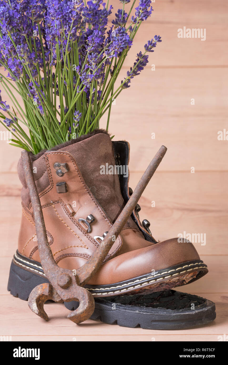 Lavender and shoe Stock Photo