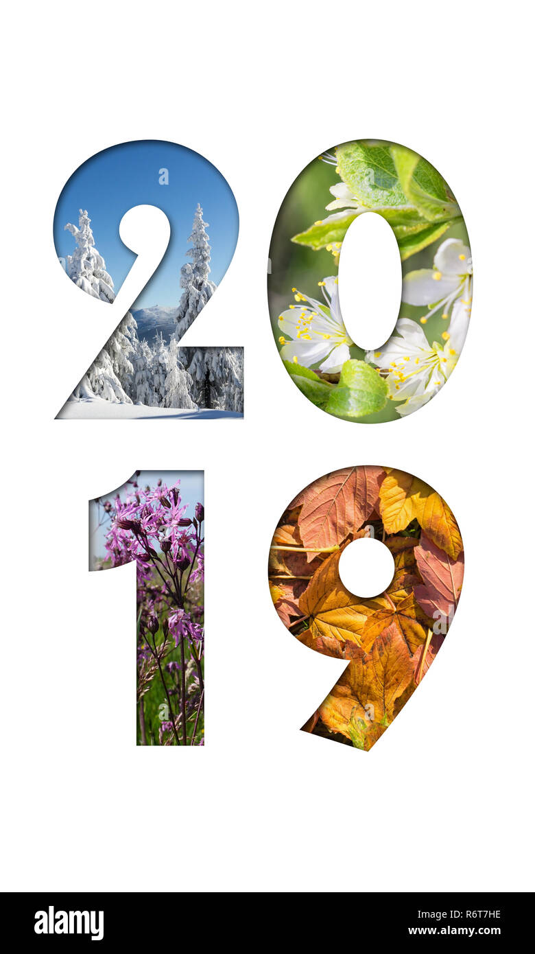 Number 2019 from four seasons photos for calendar, flyer, poster, postcard, banner. Vertical image. Stock Photo