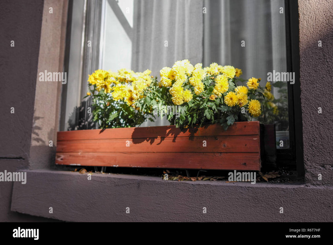 Yellow Box With Flowers On High Resolution Stock Photography And Images Alamy