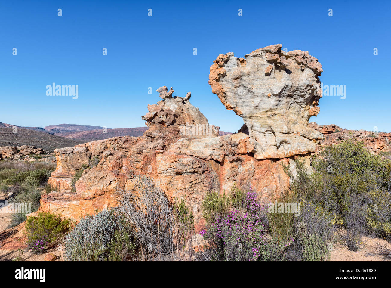 Rock formations at the Stadsaal Caves and Rock Art site in the Cederberg Mountains in the Western Cape Province of South Africa, Wild flowers are visi Stock Photo