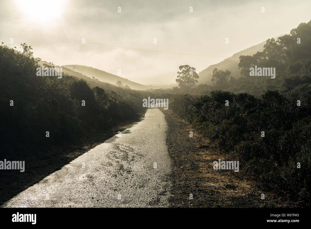 Sneath Lane basking in a hazy sunlight after a rain storm, San Bruno, California Stock Photo